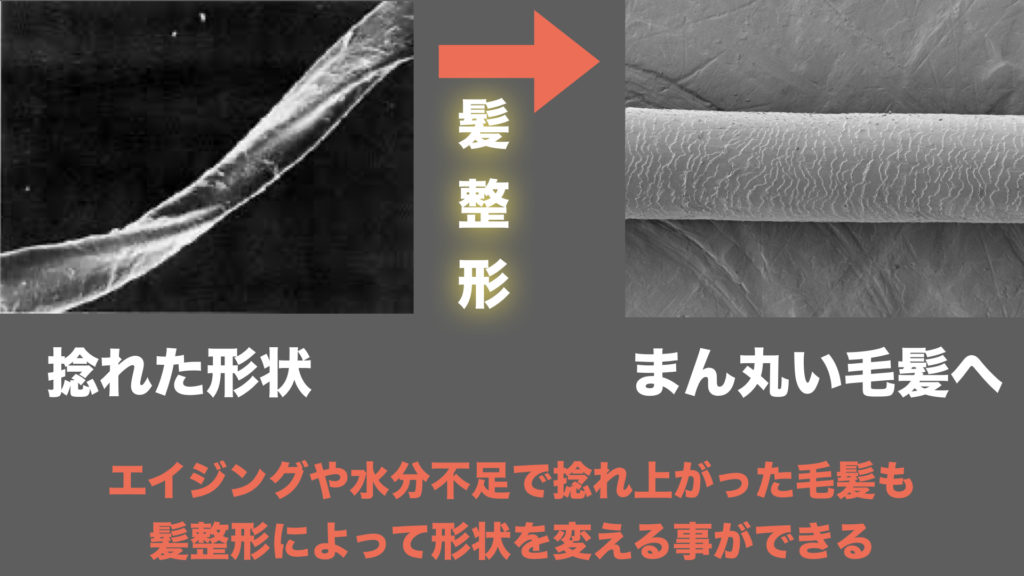 兵庫県川西市の美容室アリシアン(美容院ALLICIANT) お得なキャンペーンメニューや髪質改善情報・アクセスマップ、求人情報なども掲載！ 阪急宝塚線 川西能勢口駅より徒歩5分 髪整形 イノベーション Badens バーデンス 人気 ヘアサロン